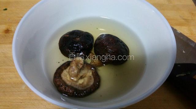 香菇水发