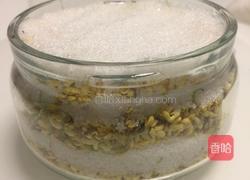 糖桂花的做法图解6