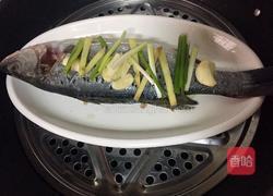 清蒸海鲈鱼的做法图解5