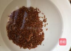 红米粥的做法图解2