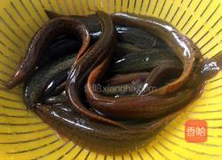 青笋炖泥鳅的做法图解2