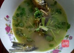 昂刺鱼汤的做法图解12