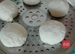 全麦豆渣馒头的做法图解12