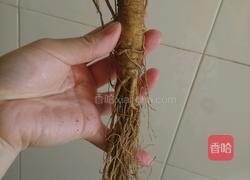 鲜人参炖土鸡的做法图解2