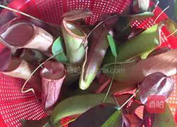 Illustration of how to make pitcher plant baked rice 1