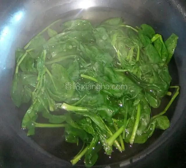 焯至菠菜变色立即捞出。