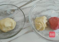 荷花酥的做法图解2