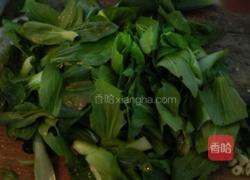 香菇炒油菜（快熟版）的做法图解2