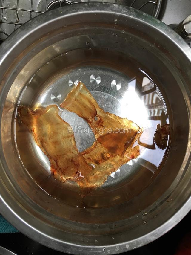 花胶隔一天浸泡好