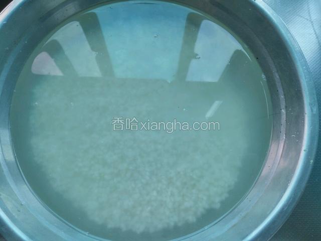 大米淘洗干净浸泡20分钟。