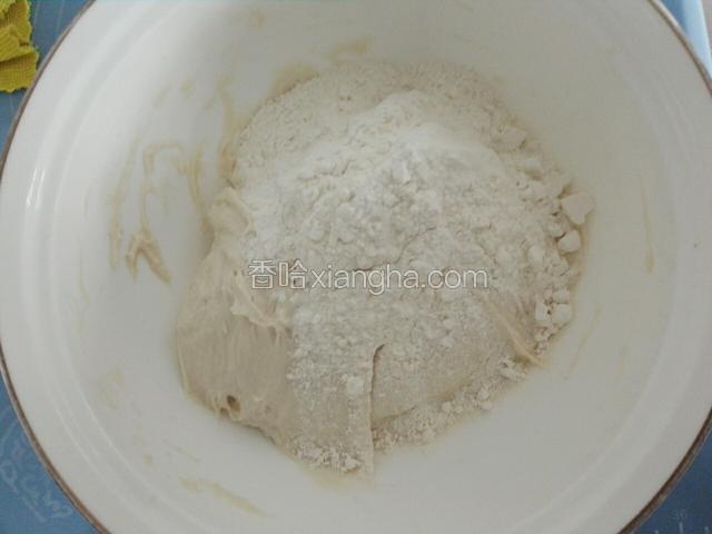 在添加少许干面粉揉匀