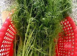 茴香猪肉馅饺子的做法图解1