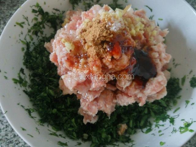 将肉馅倒入茴香碗里面，加入盐，味精，生抽，五香粉，耗油和色拉油