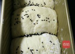 芝麻土司的做法图解6