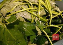 炒地瓜叶的做法图解1