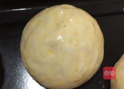 汉堡胚（小餐包）的做法图解11