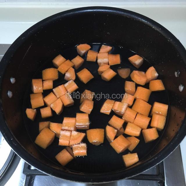锅中倒入适量清水,放入胡萝卜大火煮开