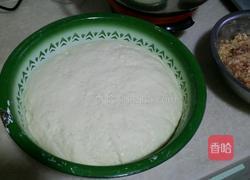 牛肉萝卜包子的做法图解1