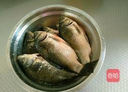 家常炖鲫鱼的做法图解1