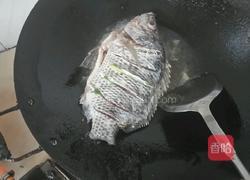 红烧罗非鱼的做法图解3