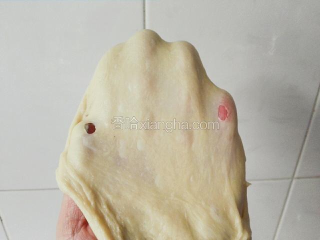 然后揪岀一块面检查手套膜，揉一揉回在放回面包机中，设定程序发酵60分钟