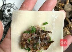 小灰蘑肉馅混沌的做法图解3