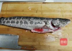 红烧黑鱼的做法图解1