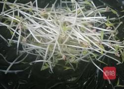 海带拌豆芽的做法图解6