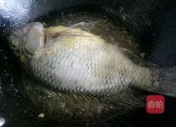 红烧罗非鱼的做法图解3