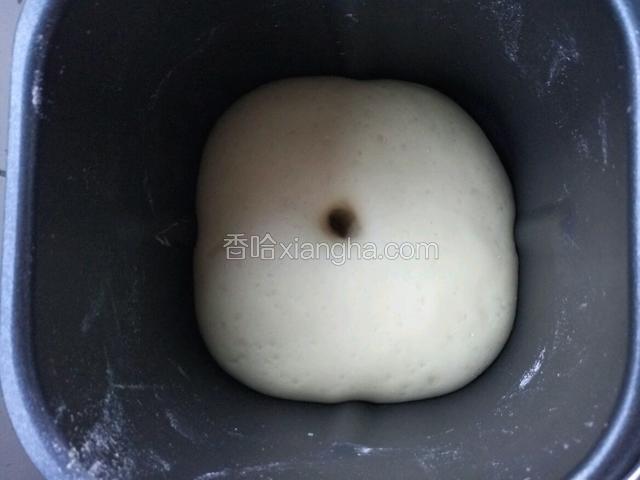 发酵至两倍大 就可以了