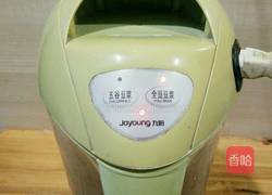 黑豆浆的做法图解5