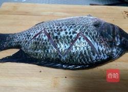 红烧罗非鱼的做法图解1