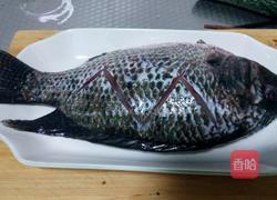 红烧罗非鱼的做法图解2