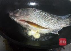 红烧罗非鱼的做法图解8