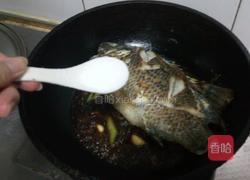 红烧罗非鱼的做法图解16