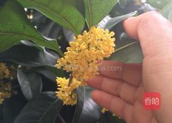 桂花糕的做法图解1