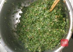 小茴香肉馅饺子的做法图解8