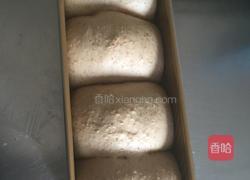 全麦蔓越莓吐司的做法图解8