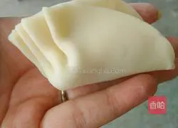 Illustration of how to make mushroom, carrot and pork dumplings 6