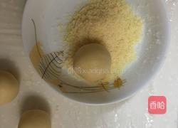 香酥芝士球的做法图解8