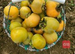 脆甜柿子果的做法的做法图解3