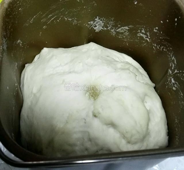 再打发酵档发酵1小时，发酵至两倍大，用拇指按压不塌陷。