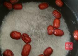 红枣粥的做法图解3