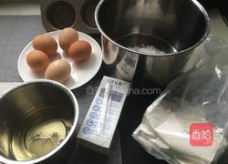 小麦胚芽蛋糕的做法图解1