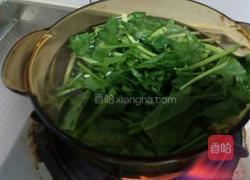 菠菜粉儿的做法图解7