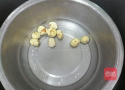 板栗炖鸡腿（电饭锅版）的做法图解7