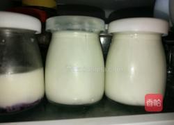 香醇酸奶的做法图解6