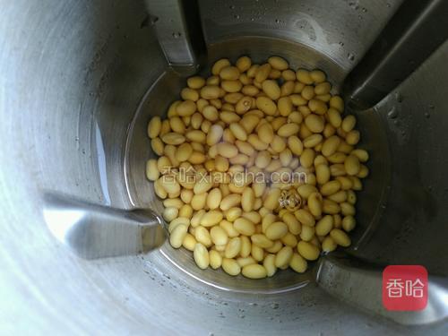 将泡好的黄豆连同泡豆子的水一起倒入豆浆机。
