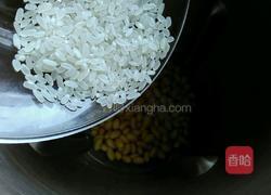 核桃养生豆浆的做法图解5