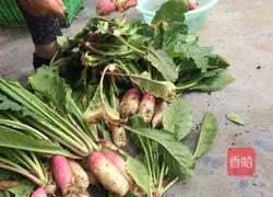 萝卜腌菜的做法图解1